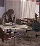 bluedesert_2860.jpg
