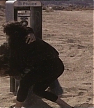 bluedesert_4213.jpg