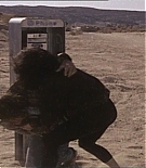 bluedesert_4214.jpg
