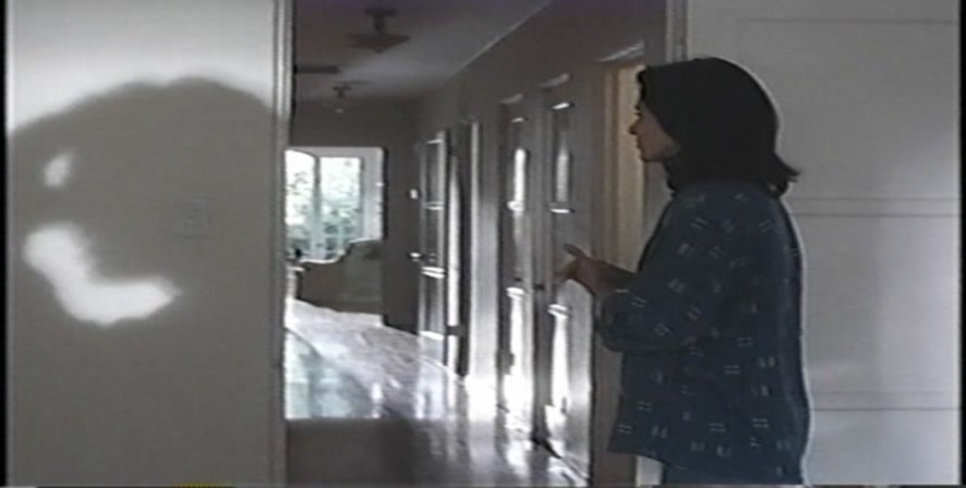 355.jpg