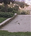 603.jpg