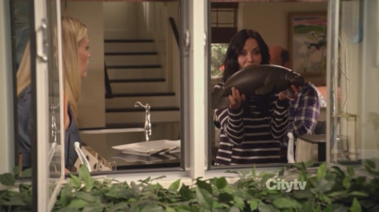 cougartown204_1130.jpg cougartown204_1130.jpg