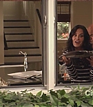 cougartown204_1128.jpg