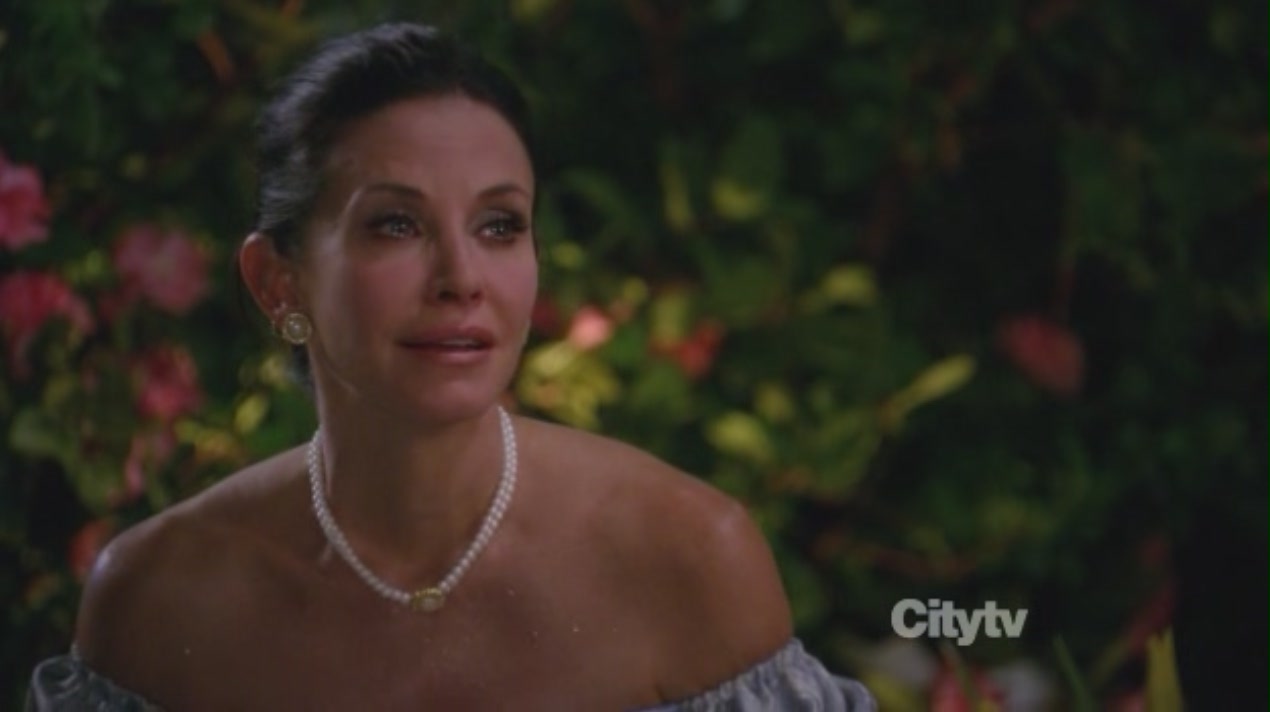 cougartown206_1878.jpg cougartown206_1878.jpg