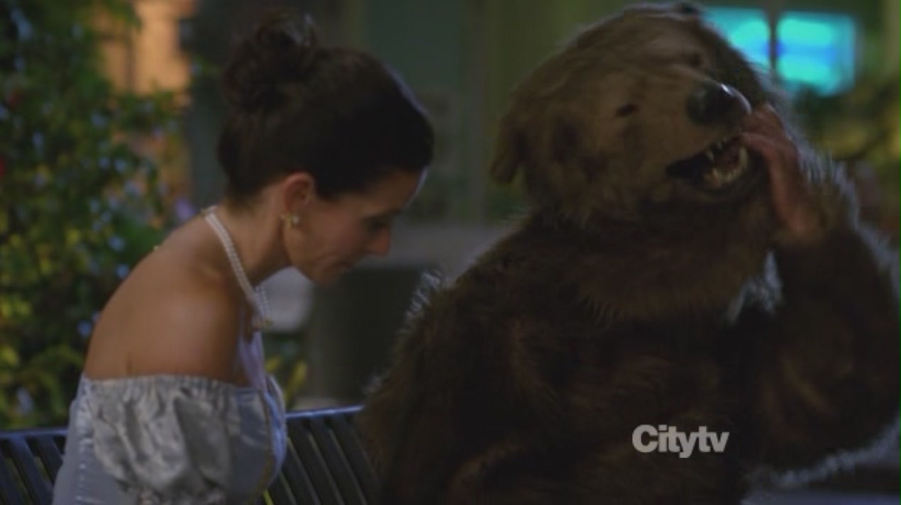 cougartown206_1953.jpg cougartown206_1953.jpg