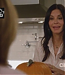 cougartown206_0014.jpg