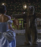 cougartown206_1650.jpg