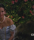 cougartown206_1783.jpg