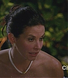 cougartown206_1920.jpg