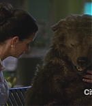 cougartown206_1951.jpg