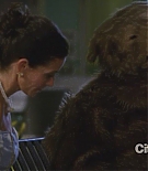 cougartown206_1953.jpg