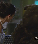 cougartown206_1954.jpg