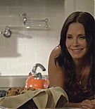 cougartown208_1406.jpg