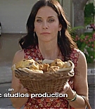 cougartown208_1430.jpg