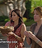cougartown208_1435.jpg