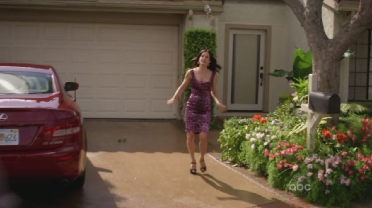 cougartown_1087.jpg cougartown_1087.jpg