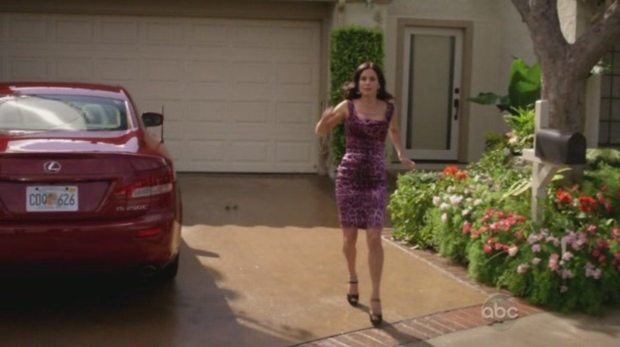 cougartown_1088.jpg cougartown_1088.jpg
