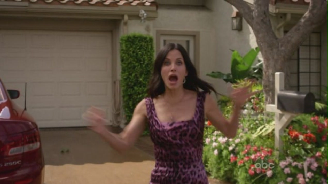 cougartown_1090.jpg cougartown_1090.jpg