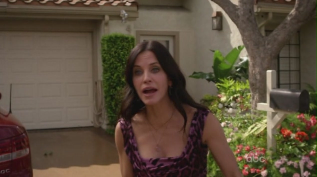 cougartown_1091.jpg cougartown_1091.jpg