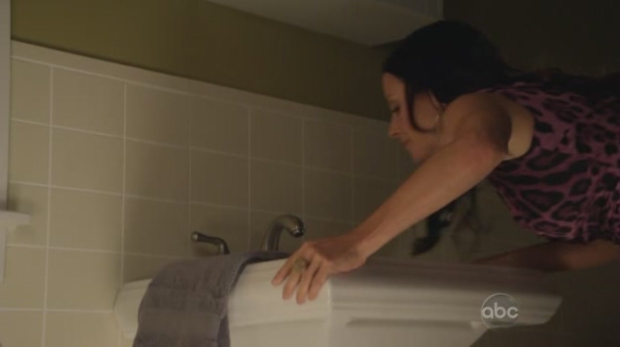 cougartown_1280.jpg cougartown_1280.jpg