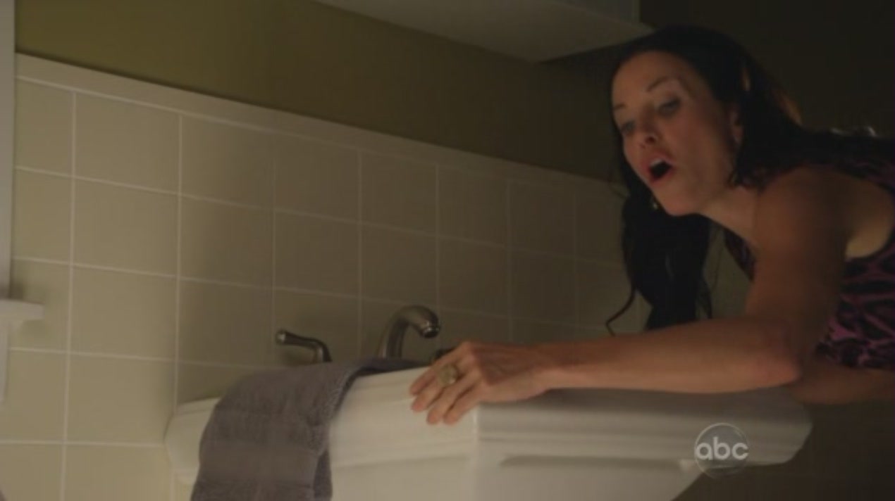 cougartown_1281.jpg cougartown_1281.jpg