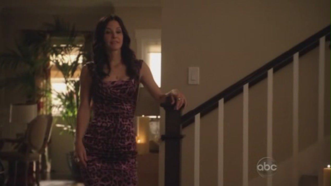 cougartown_1417.jpg cougartown_1417.jpg