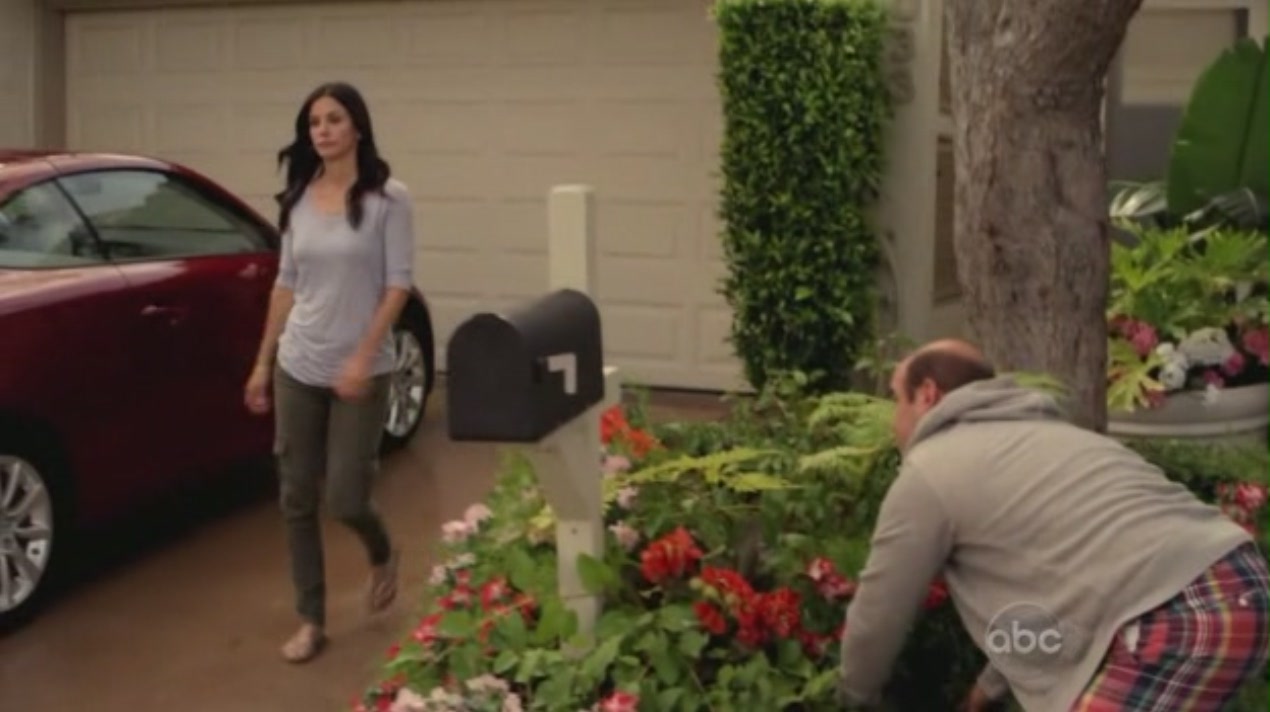 cougartown_1576.jpg cougartown_1576.jpg
