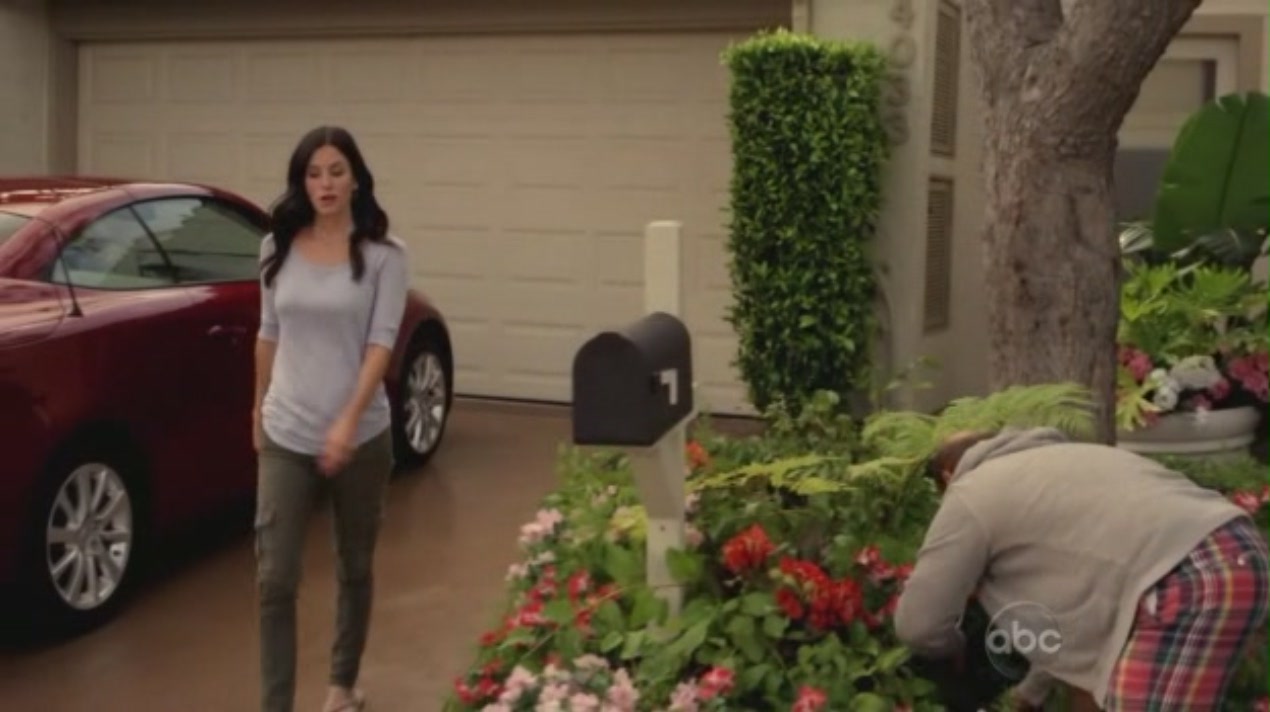 cougartown_1577.jpg cougartown_1577.jpg