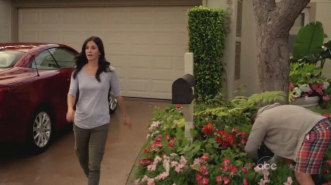 cougartown_1578.jpg cougartown_1578.jpg