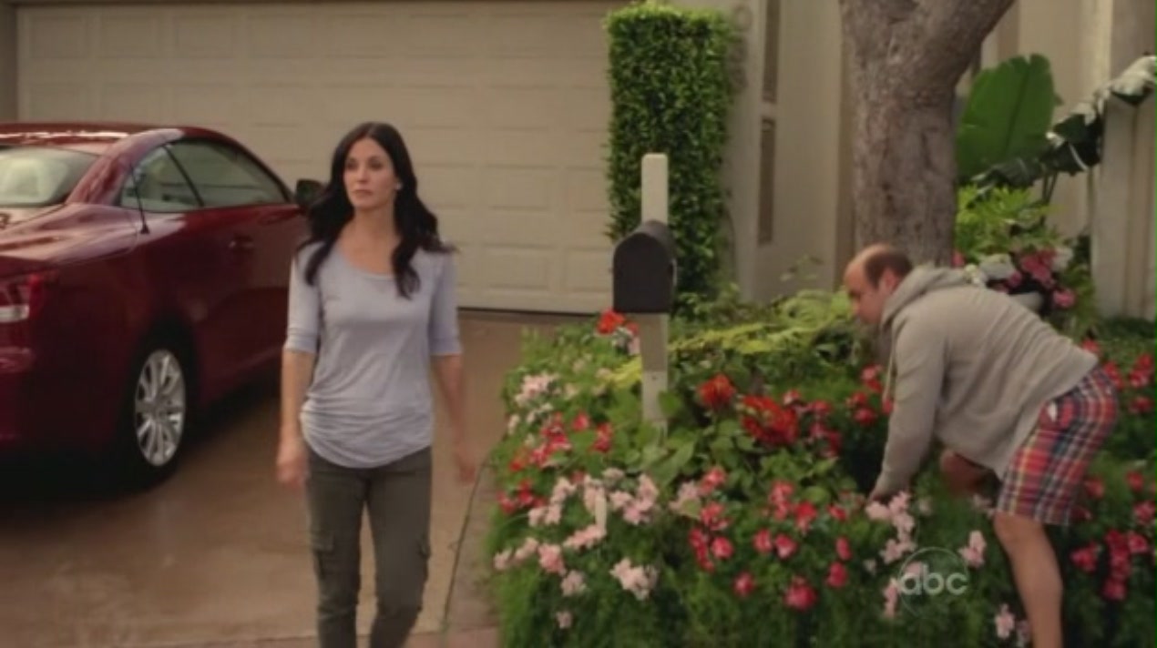 cougartown_1579.jpg cougartown_1579.jpg