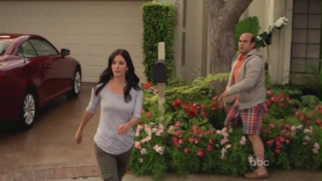 cougartown_1580.jpg cougartown_1580.jpg