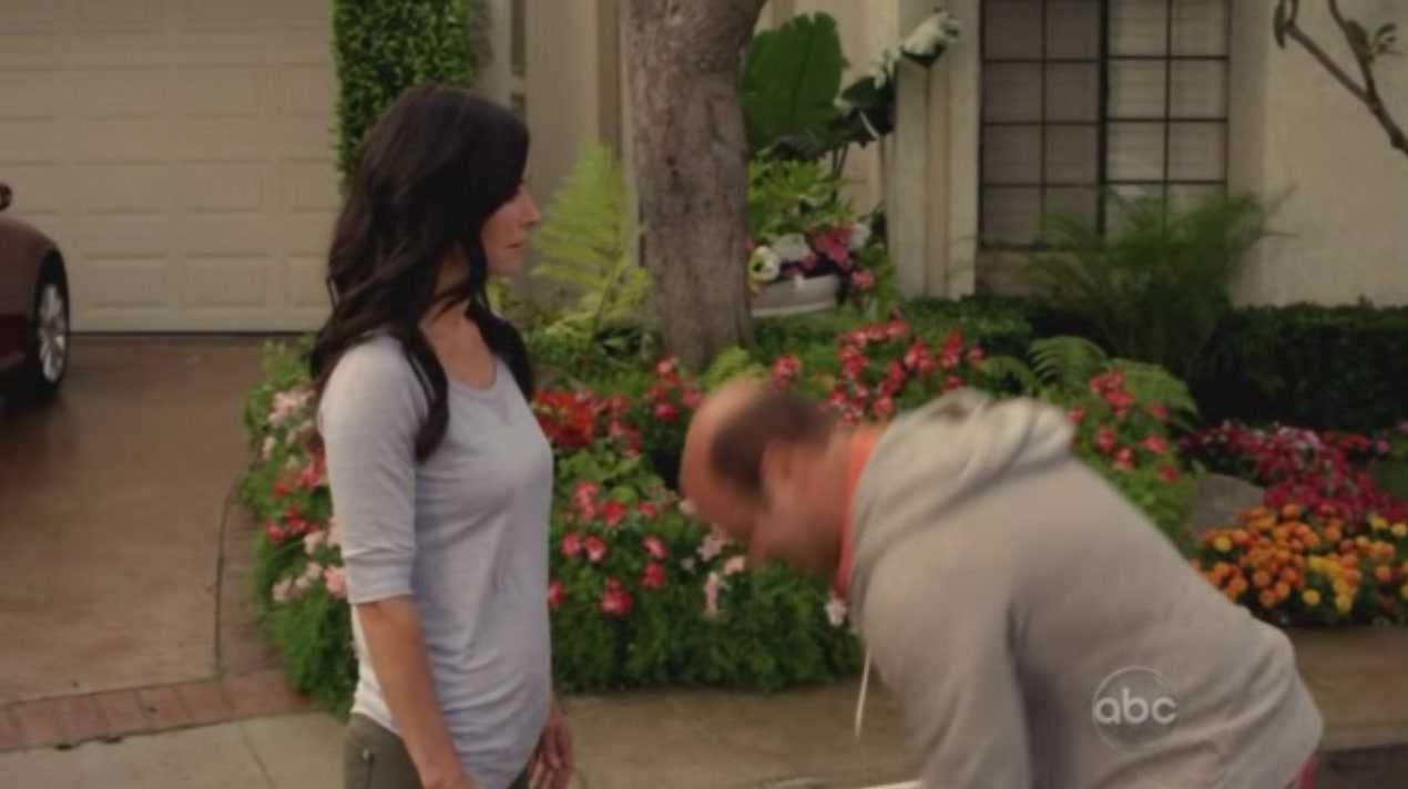 cougartown_1637.jpg cougartown_1637.jpg