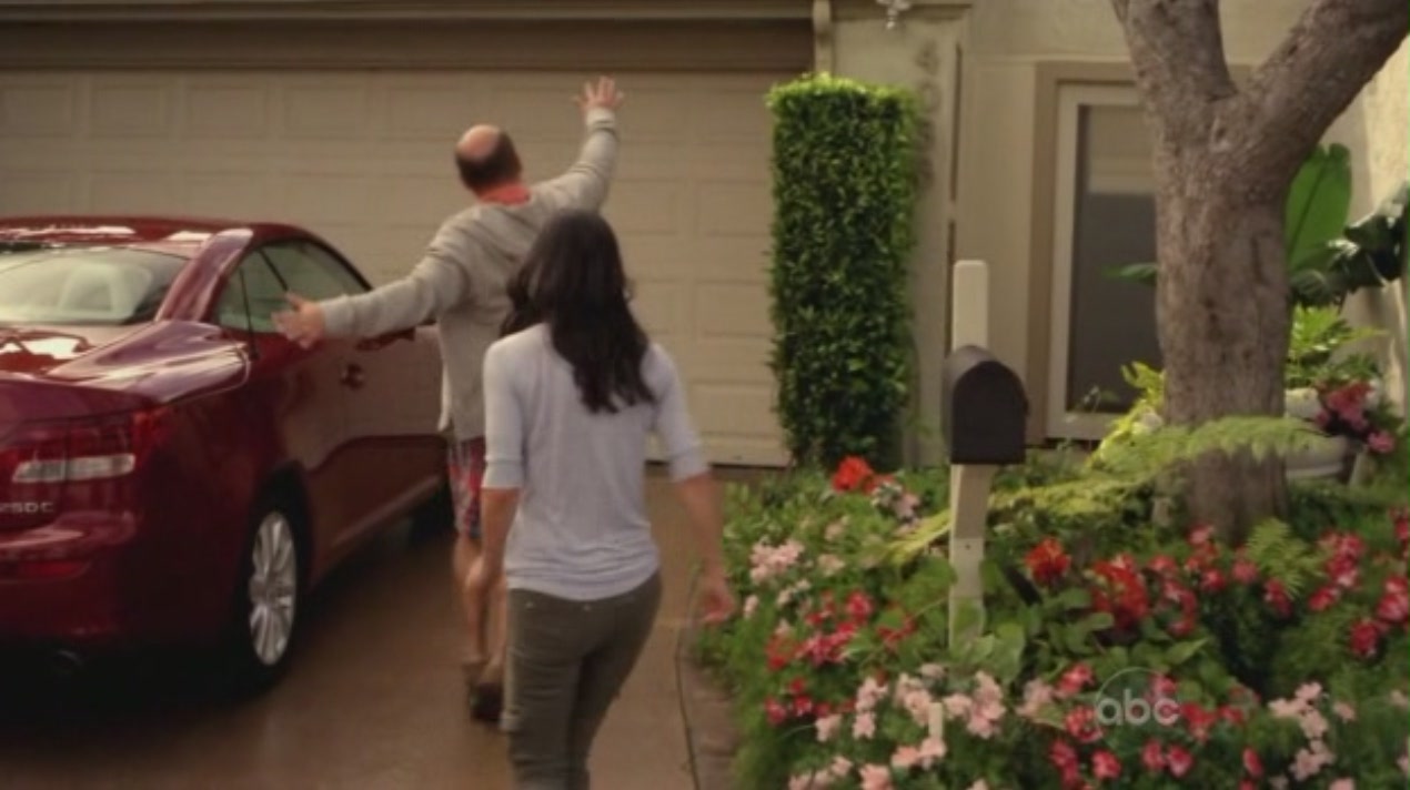 cougartown_1661.jpg cougartown_1661.jpg