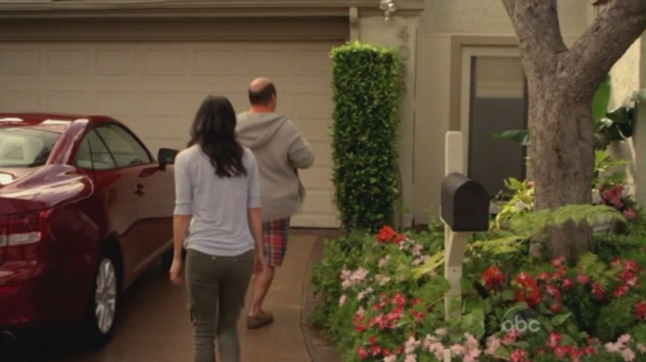 cougartown_1662.jpg cougartown_1662.jpg
