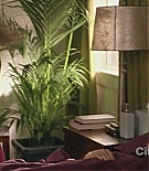 cougartown212_0653.jpg
