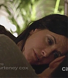 cougartown212_0662.jpg