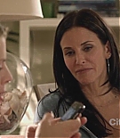 cougartown212_0882.jpg