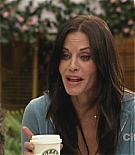 cougartown212_1000.jpg