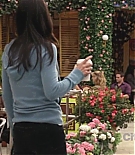 cougartown212_1003.jpg