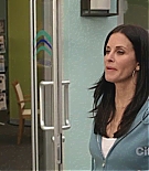 cougartown212_1021.jpg