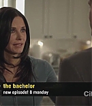 cougartown212_1402.jpg