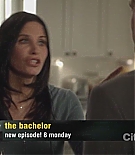 cougartown212_1405.jpg