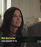 cougartown212_1406.jpg