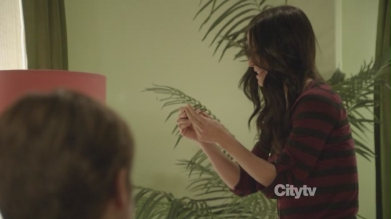 cougartown213_1134.jpg cougartown213_1134.jpg