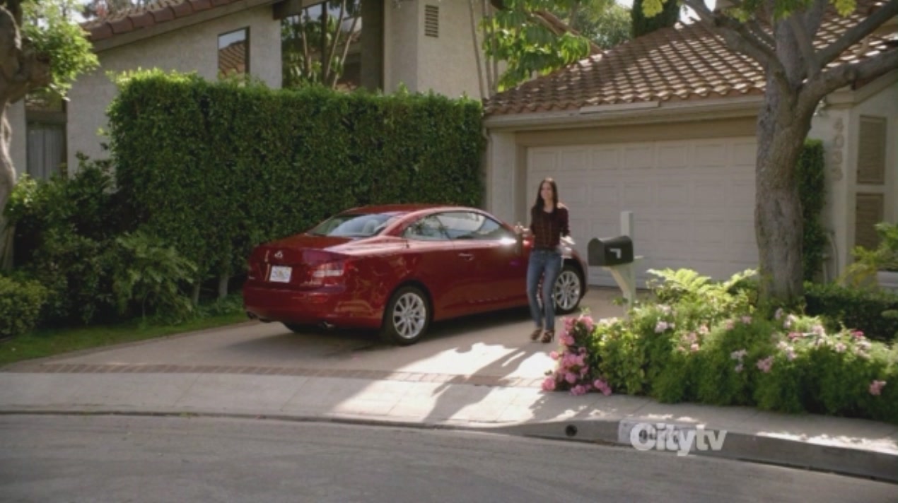 cougartown213_1422.jpg cougartown213_1422.jpg