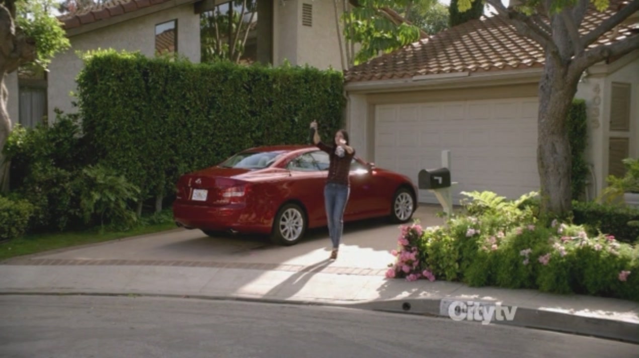 cougartown213_1424.jpg cougartown213_1424.jpg