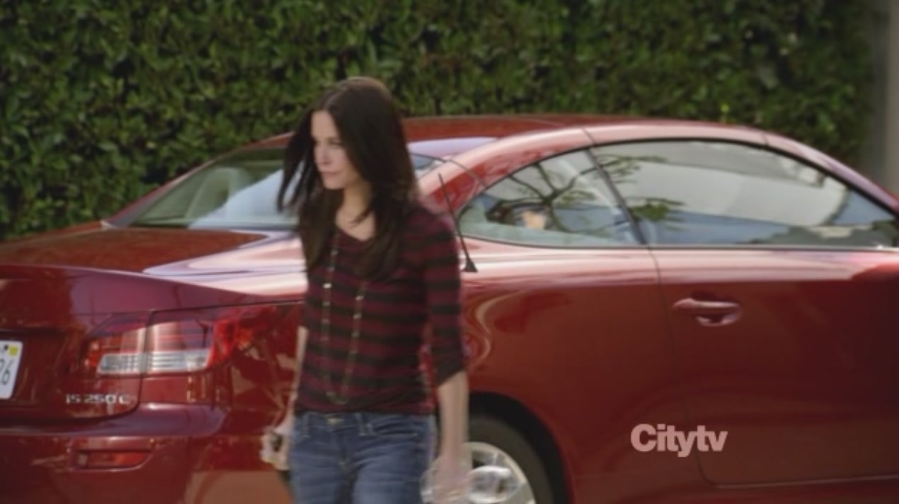 cougartown213_1433.jpg cougartown213_1433.jpg