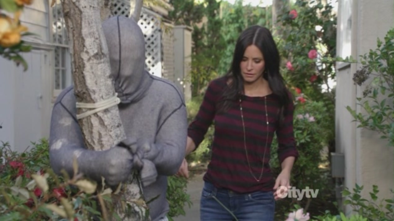 cougartown213_1636.jpg cougartown213_1636.jpg