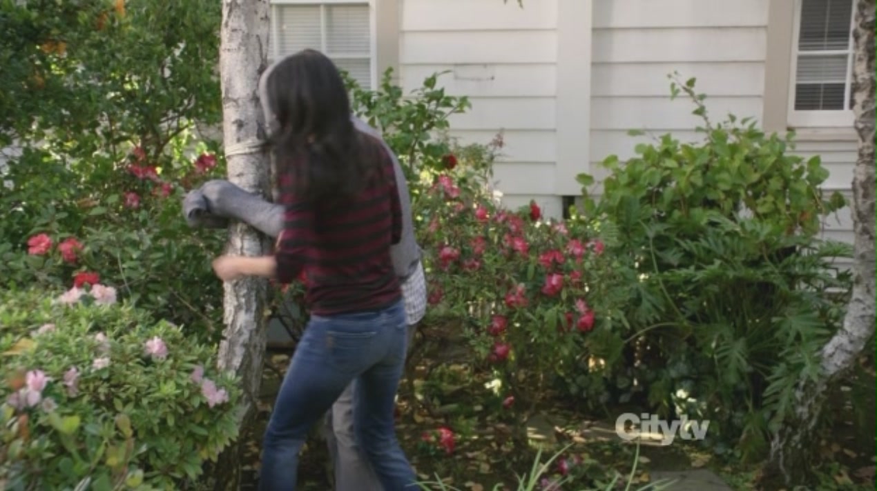 cougartown213_1645.jpg cougartown213_1645.jpg