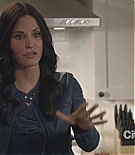 cougartown213_0501.jpg